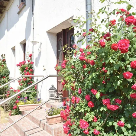 Spacious In Apartment *